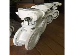 軟(ruan)密封雙偏心(xīn)蝶閥