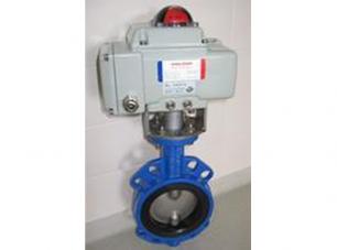 D941電動(dong)襯膠蝶閥